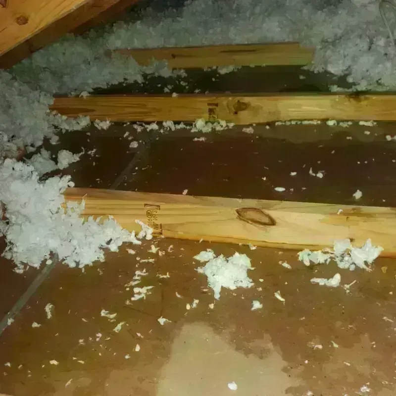 Attic Water Damage in Atkinson, NH